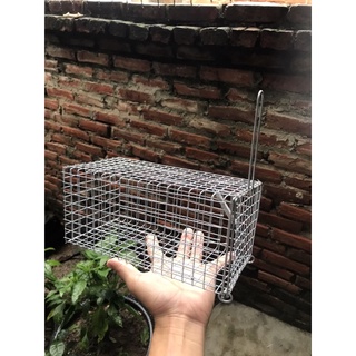 Combo 5 lồng bẫy chuột,bẫy sóc 11x12x23cm lưới chống rỉ.