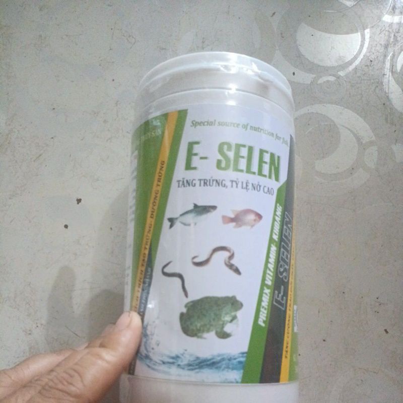 Kính thích tạo trứng lươn ếch bố mẹ