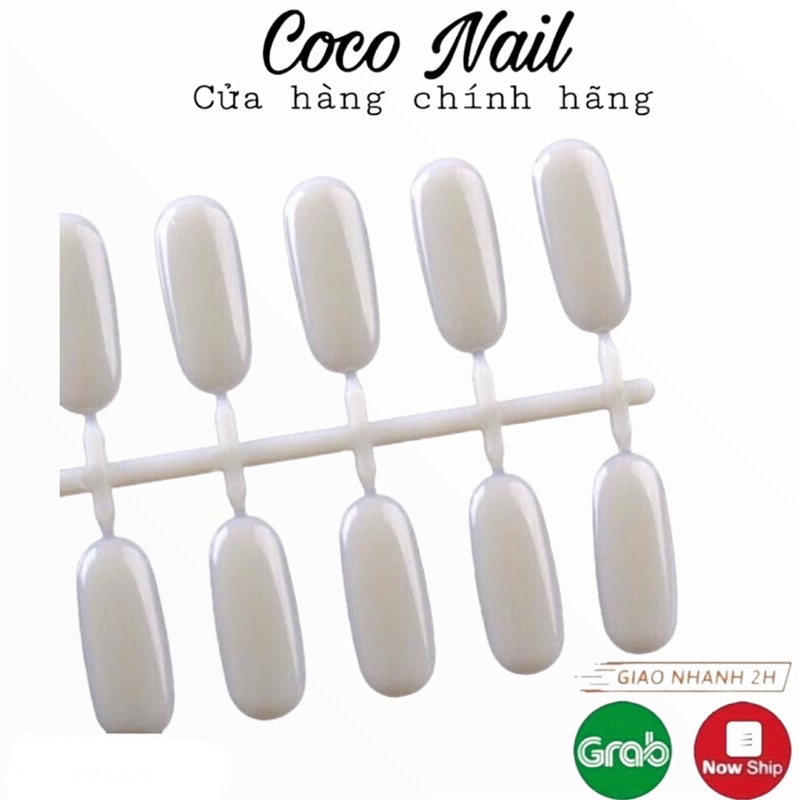 Vỉ móng úp sổ mẫu,mầu 24 móng