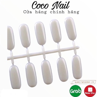 Vỉ móng úp sổ mẫu,mầu 24 móng