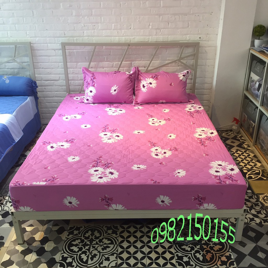 Bộ chăn ga  gối cotton Sông Hồng