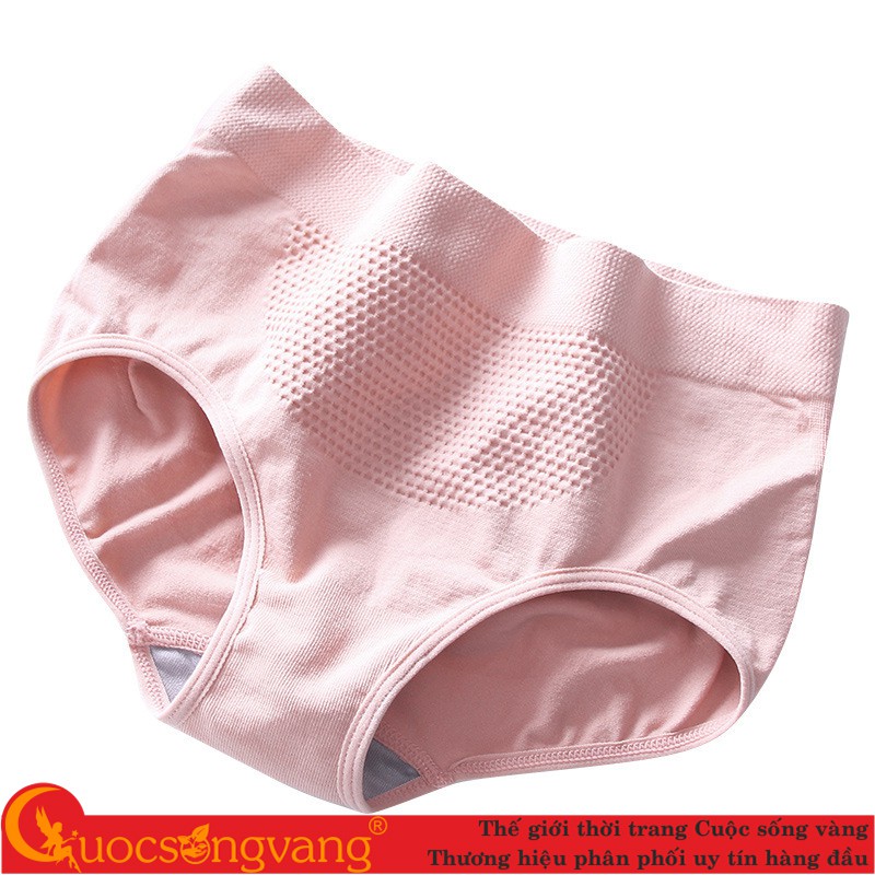 Quần chip nữ nâng mông quần lót cotton co giãn GLDL042 Cuocsongvang