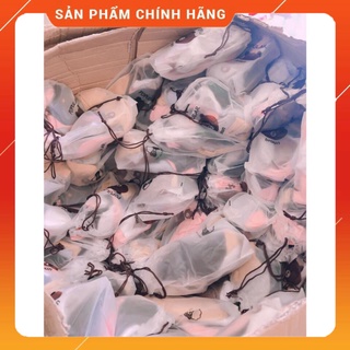 Set 10 đôi tất gấu xinh xắn