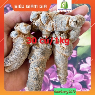 500gram Củ tam thất bắc khô 🍀FREESHIP🍀 Loại Vip 30 củ/kg- Tây Bắc (Củ lâu năm)