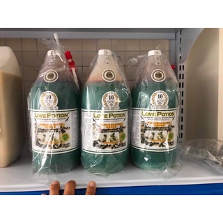 Dung dịch nhà yến Love Potion