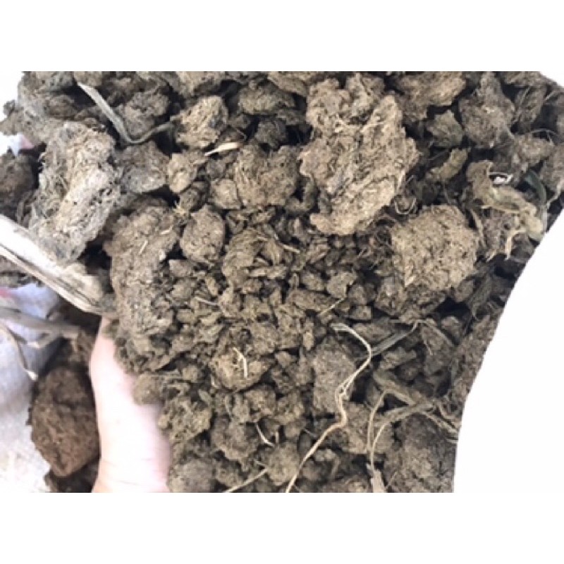 Phân bò hữu cơ ủ hoai mục - Đất sạch rồng rau/cây kiểng