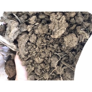 Phân bò hữu cơ ủ hoai mục - Đất sạch rồng rau/cây kiểng