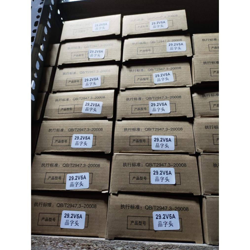 Bộ sạc pin Lithium 24V5A