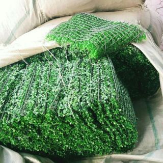 Thảm cải xoong. 35k