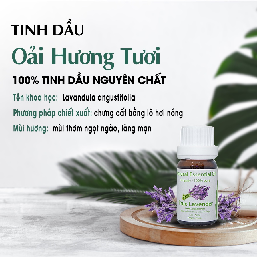 Tinh Dầu Tự Nhiên AROMA Oải Hương Tươi 10ml