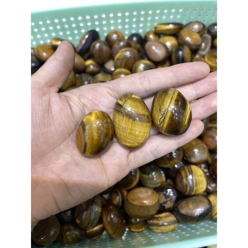 Palm đá măt hô - Đá thanh tẩy, tarot | BigBuy360 - bigbuy360.vn