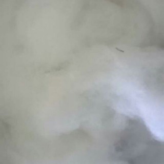 Bông nhồi gối, thú eli meo