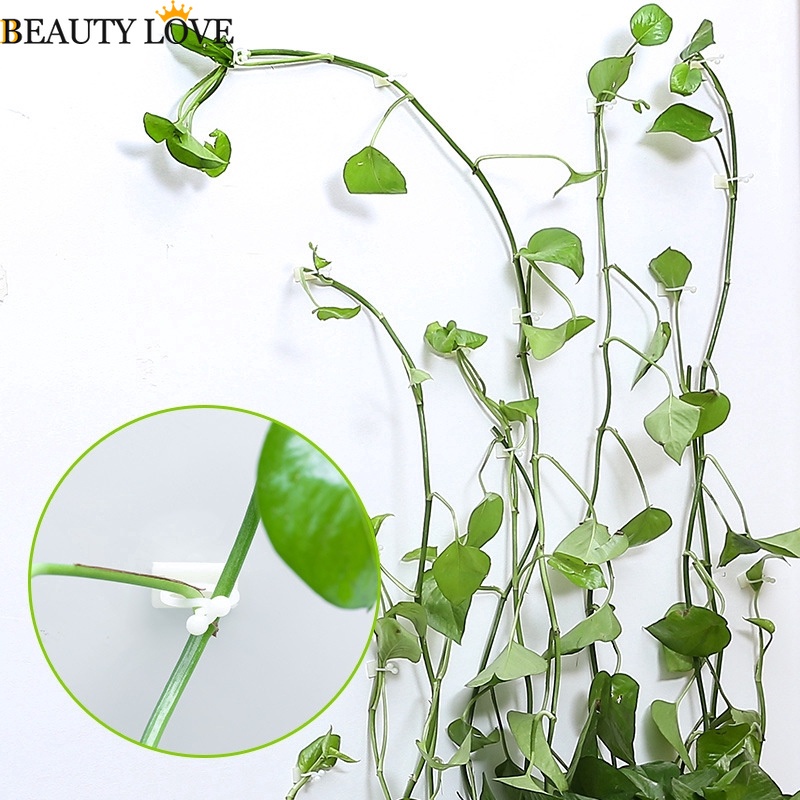 Set 10 / 10 Kẹp Cố Định Dây Leo Dùng Trang Trí Nhà Cửa / Dây Leo Núi Giá Đỡ