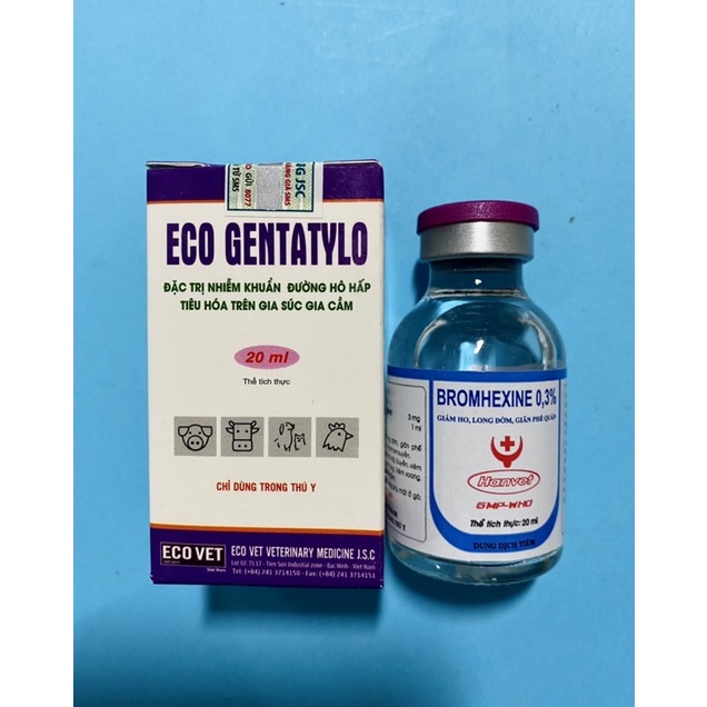 Eco Gentatylo+Bromhenxin(20ml) Hen-khec-kho-khè, sung-mặt, phu-đầu, phan-xanh phan-trắng