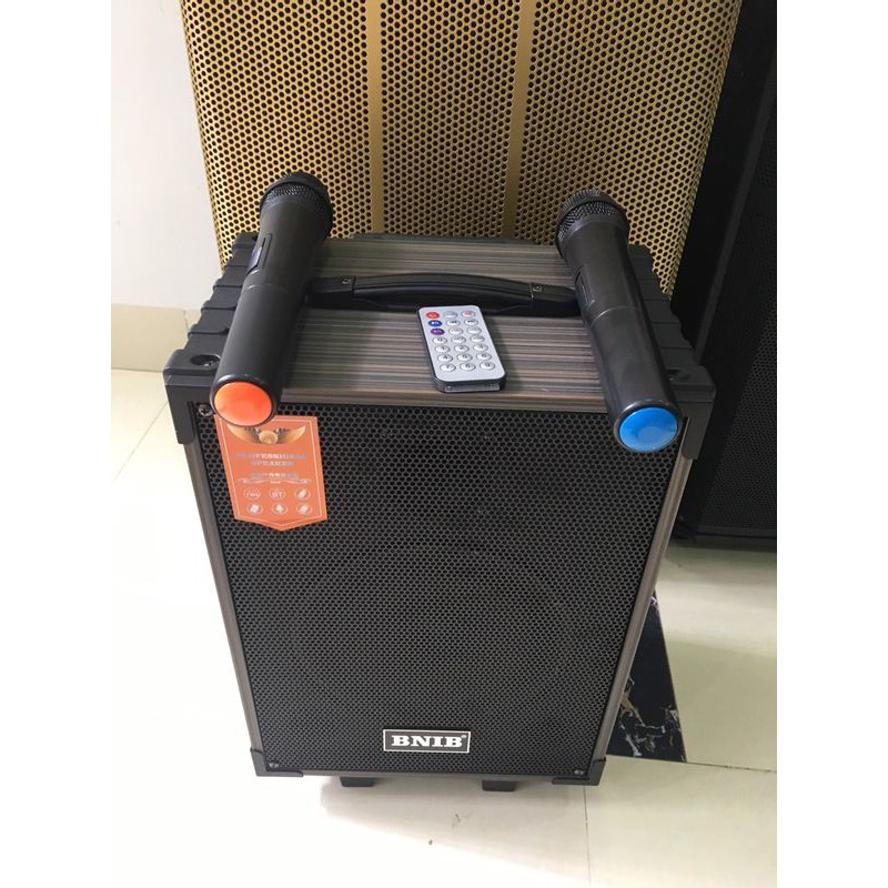 LOA KÉO BNIB - bass từ 20 đến 40 , có 2 tay mic các mã từ T8 , T10 , T12, T15 , CÔNG SUẤT LỚN , CHẤT ÂM HAY