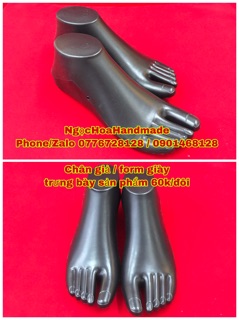 Form trưng bày giày