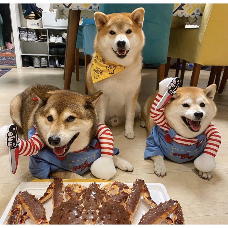 ÁO COSPLAY KẺ GIẾT NGƯỜI VUI NHỘN HÀI HƯỚC HALLOWEEN CHO THÚ CƯNG CHÓ MÈO