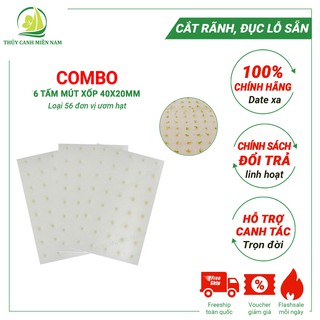 Bộ 6 Tấm Mút Xốp Ươm Hạt Thủy Canh Cắt Rãnh, Đục Lỗ Sẵn | Mút Xốp Trồng Rau Loại 30x30mm ~ 56 Đơn Vị Ươm Mỗi Tấm