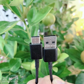 {Zin Zin 100%}Dây Sạc USB Type-C samsung cáp samsung s10