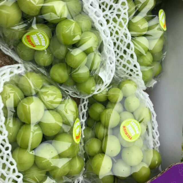 Nho sữa Hàn Quốc