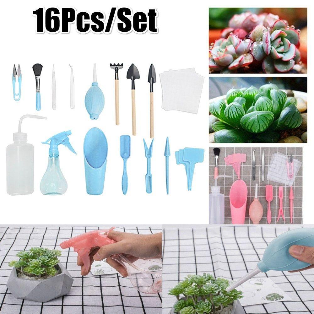 Bộ Dụng Cụ Trồng Cây Cảnh Bonsai Mini Trong Suốt N1N