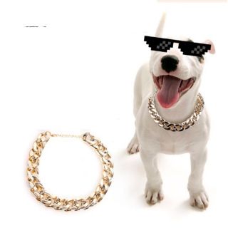 Vòng cổ rick kid cho chó mèo