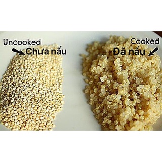 Hạt Diêm mạch Quinoa Cao Cấp