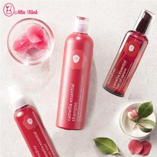 Dầu Gội Innisfree Camellia Essential Shampoo