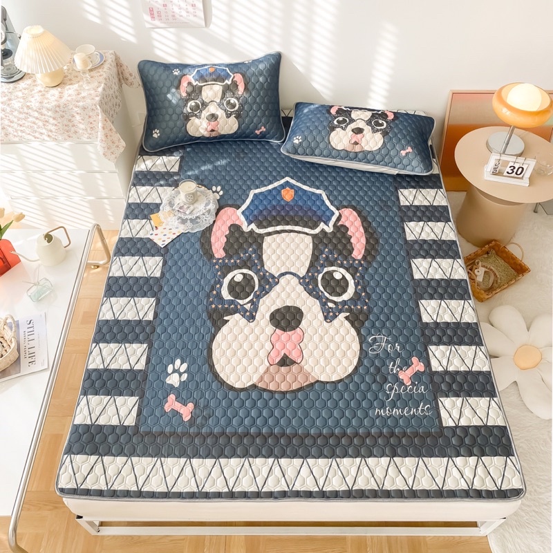 Chiếu điều hoà cao su non 6D mát lạnh