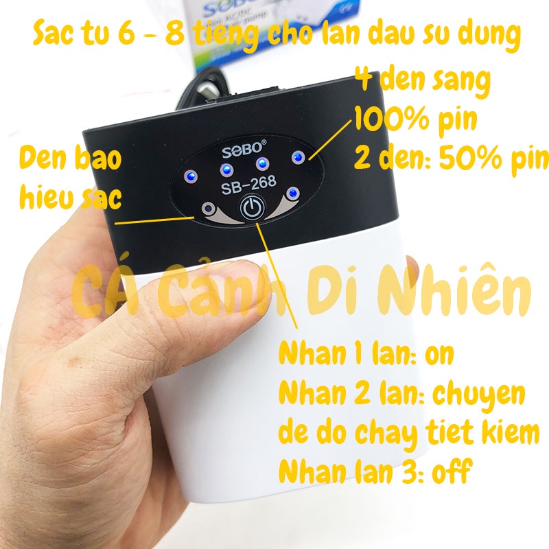 Máy sủi oxy TÍCH ĐIỆN 2 vòi SOBO SB-268 cho hồ cá máy oxy bể cá SB268