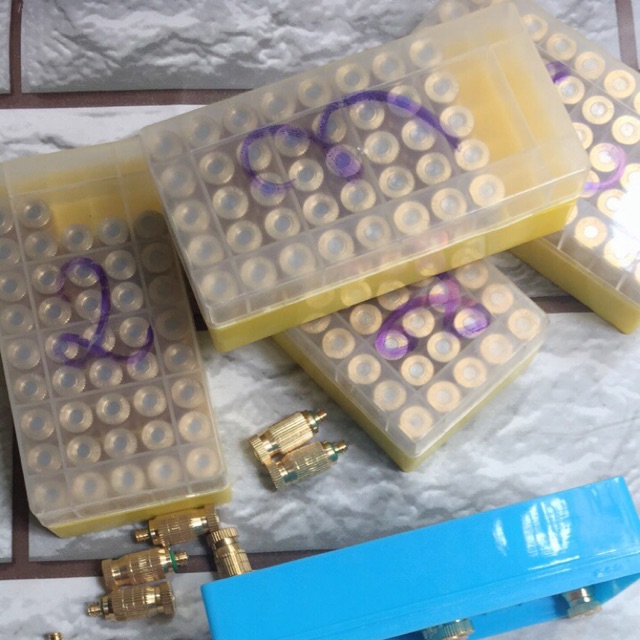 [FREESHIP 99K]_10 bec phun sương