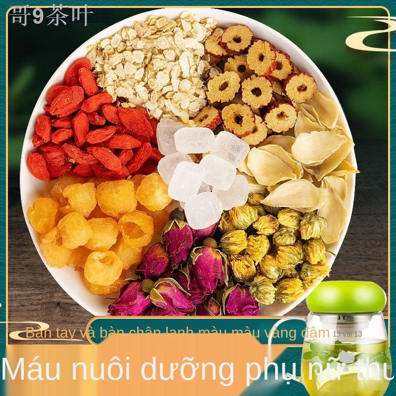 ZTrà Tam Thất Nhân Sâm, Quả chà là đỏ, sói rừng, long nhãn, hoa hồng, Wolfberry, Sự kết hợp bổ sung khí huyết và máu cho