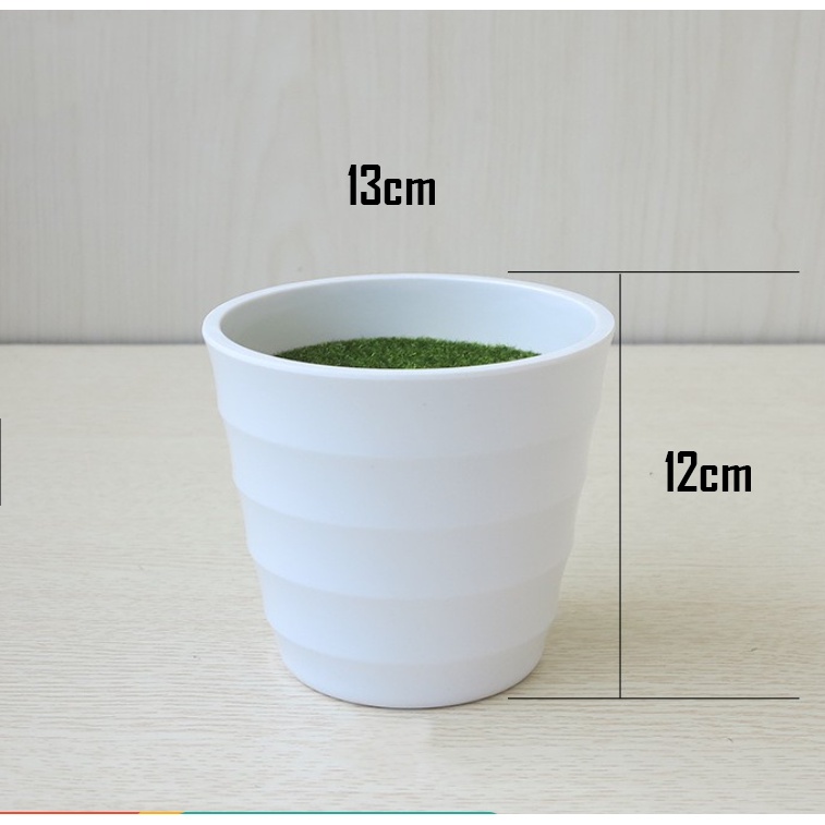 Chậu nhựa trồng cây - Có sẵn Phủ cỏ xanh