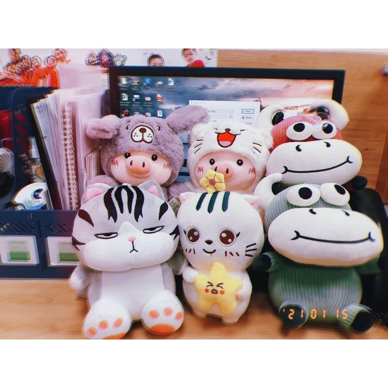 Gấu bông máy gắp gấu