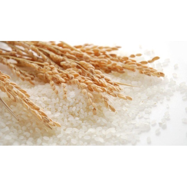 Gạo Nhật Best Quality 5kg - Thái Dương