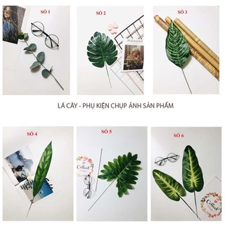 Decor, Phụ kiện chụp ảnh, lá cây xanh, ảnh tự chụp, hàng có sẵn