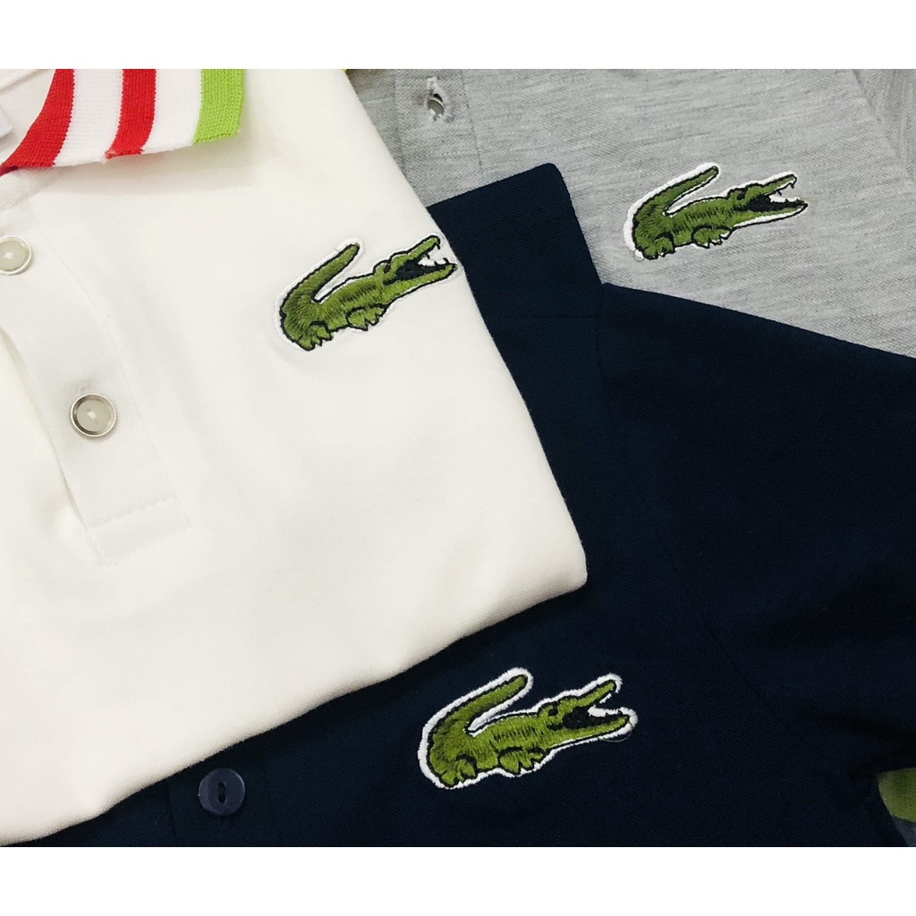 Áo cộc tay bé trai - Áo polo Lacoste cho bé trai size lớn 17-40kg