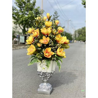 Cành Tuyết Quả