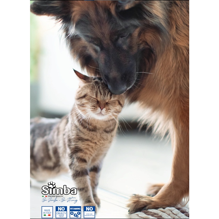 Pate Simba thơm ngon cực dễ dùng cho chó nhập khẩu Ý full vị full size