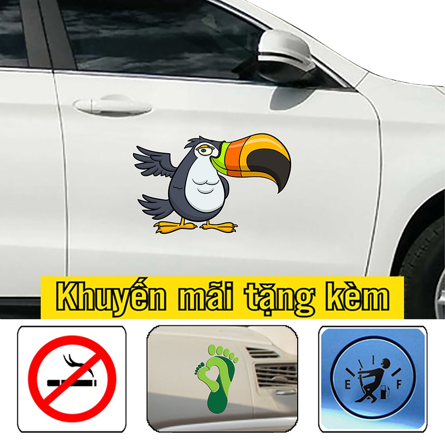 Miếng dán xe hơi, sticker hình chú vẹt sặc sỡ