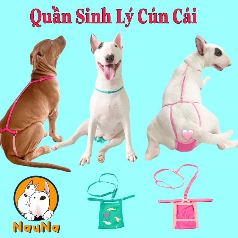Quần Sinh Lý Cún Cái Mùa Dâu-Tiện Lợi-Thoáng Mát🐶