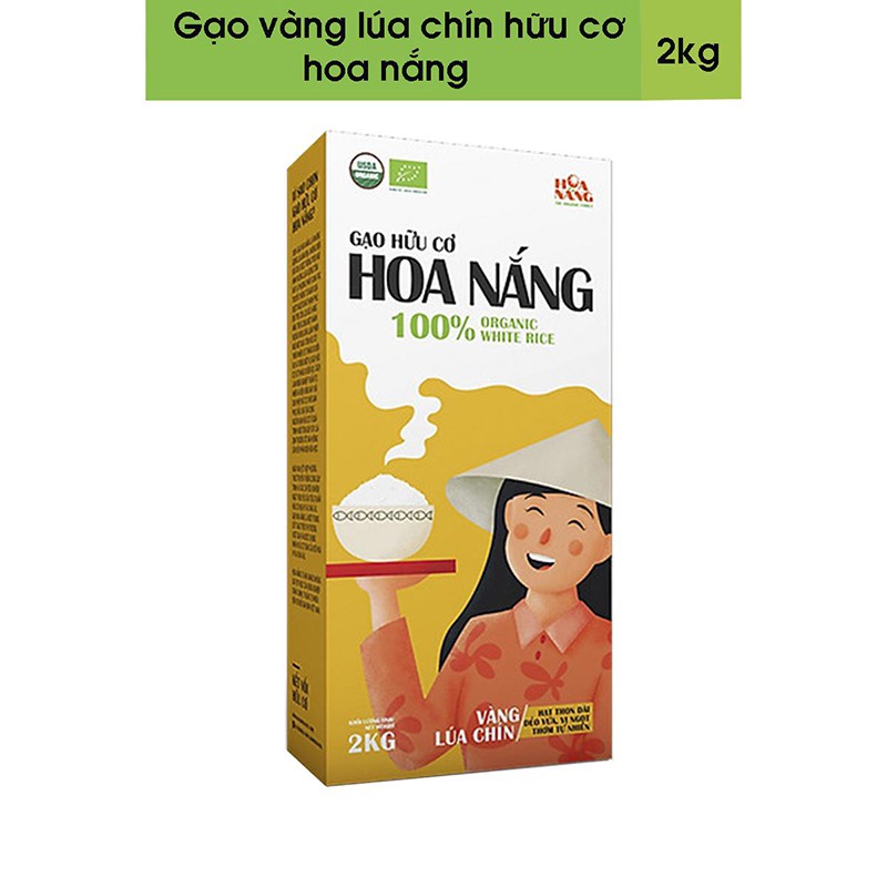 Gạo vàng lúa chín hữu cơ hoa nắng