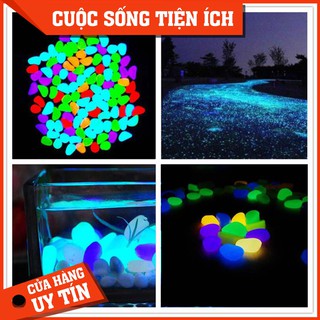 Set 25 Viên  Đá Phát Sáng Dùng Trang Trí Chậu Cây Cảnh, Bể Cá 🔥FREESHIP🔥 Đá phát sáng nhân tạo