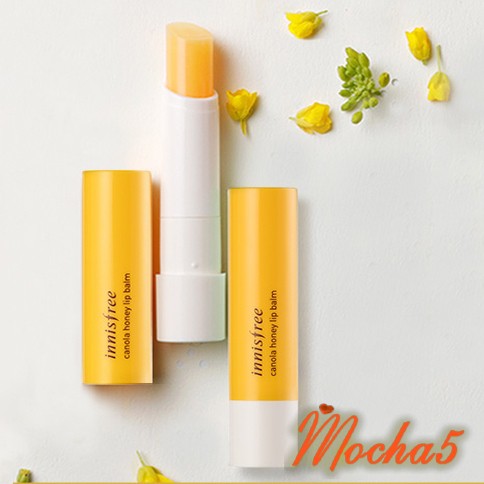 Son dưỡng ẩm Innisfree CANOLA HONEY Lip Balm dưỡng mềm môi chiết xuất mật ong