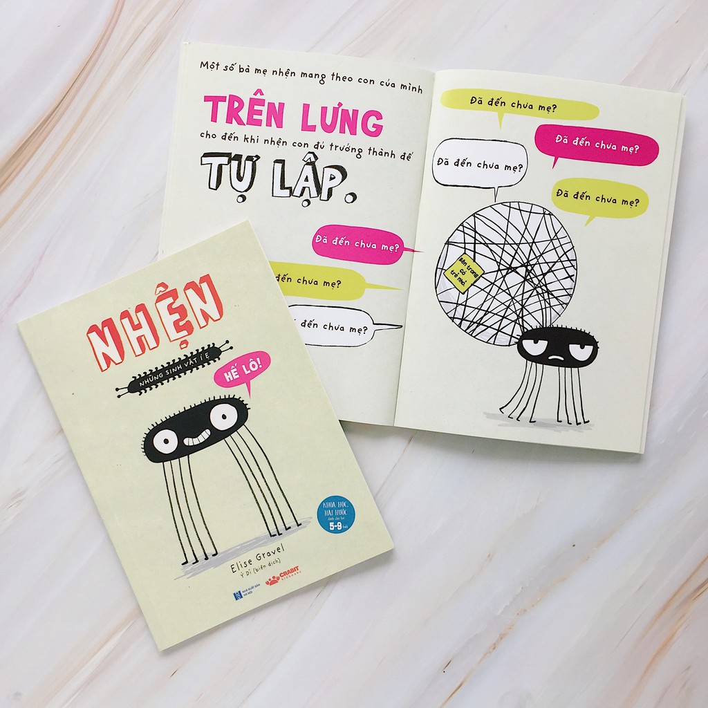 Sách - Những sinh vật í ẹ - Nhện - Nhận biết con vật cho bé - Khoa học vui nhộn - Crabit Kidbooks