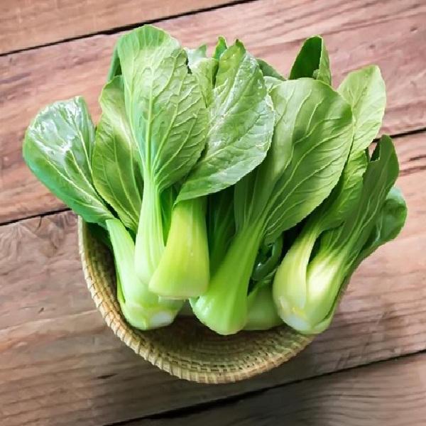 Hạt giống rau cải thìa cao sản, cải thìa sinh trưởng khỏe, ngắn ngày, lá to, dày, phiến lá tròn màu xanh