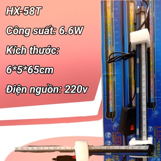 Đèn sủi, thanh sủi oxy bể cá cảnh··