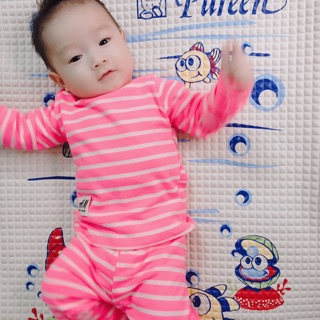 Combo 3 set hm kẻ