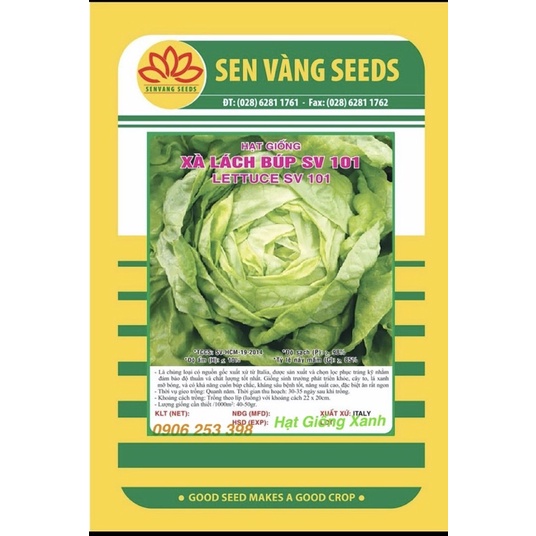 Hạt Giống Xà Lách Búp 101 (2gr)