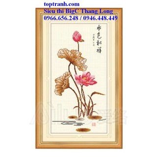 Tranh thêu chữ thập cành hoa sen hồng A489 chưa thêu
